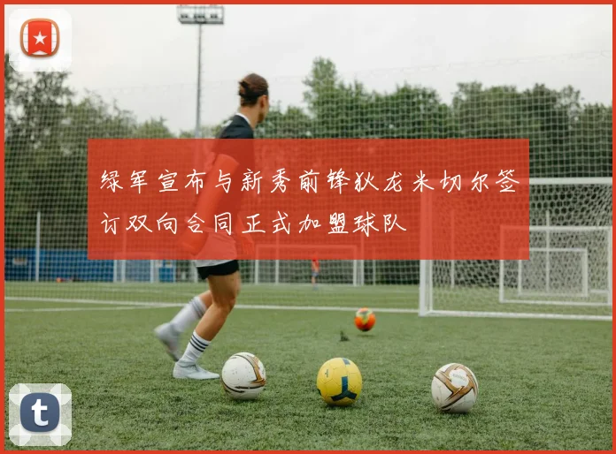绿军宣布与新秀前锋狄龙米切尔签订双向合同正式加盟球队